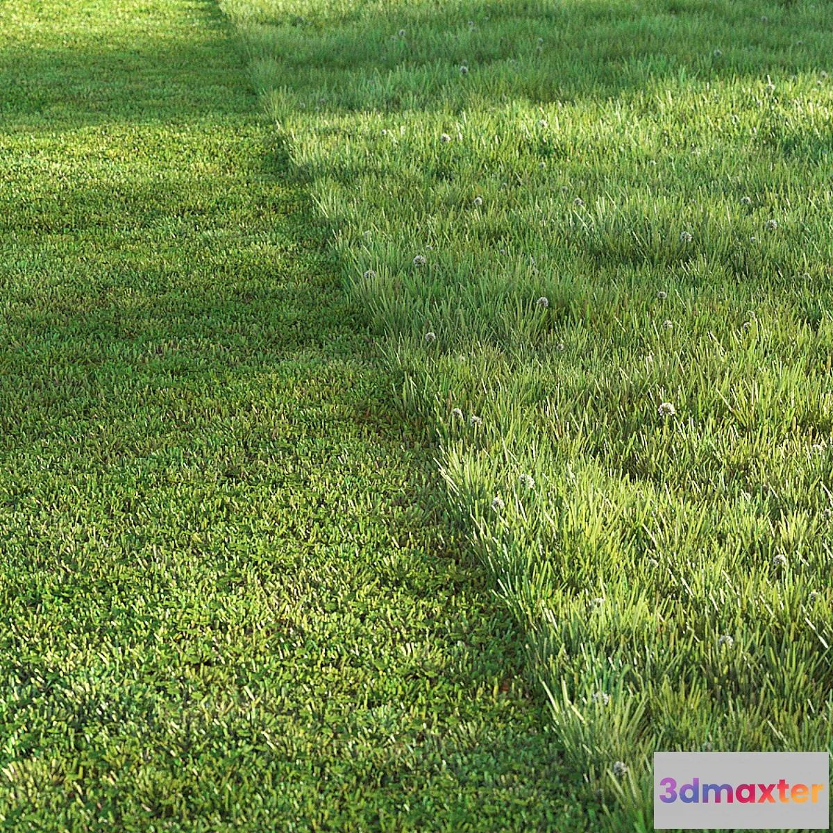 1339477 - Sports turf 3D Max