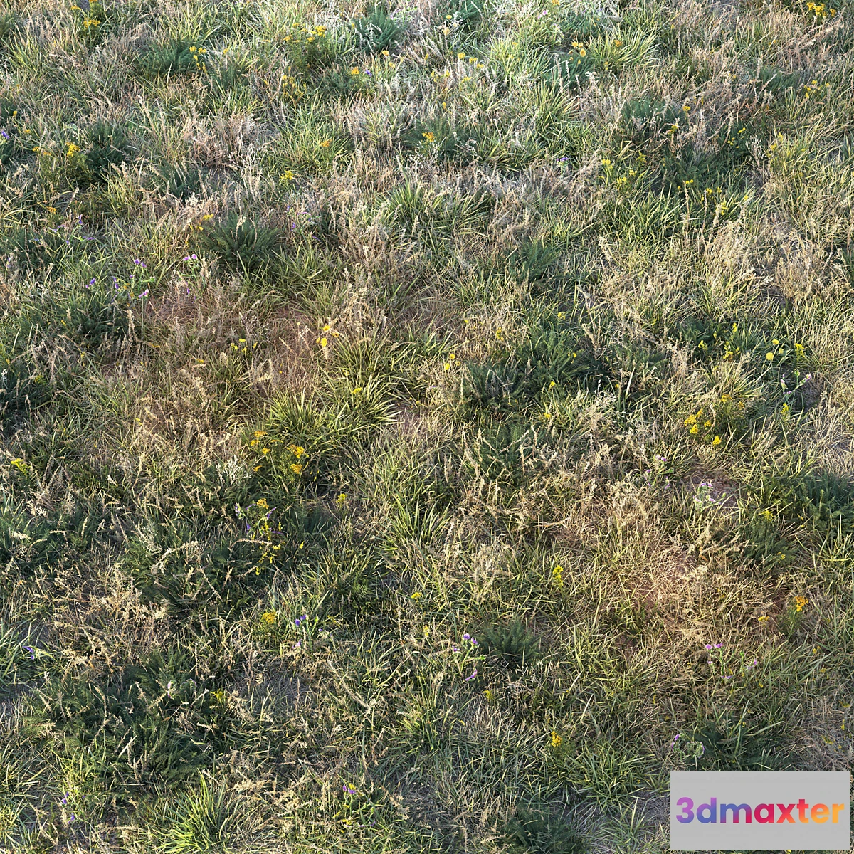 1340047 - Autumn grass - No.3 3D Max