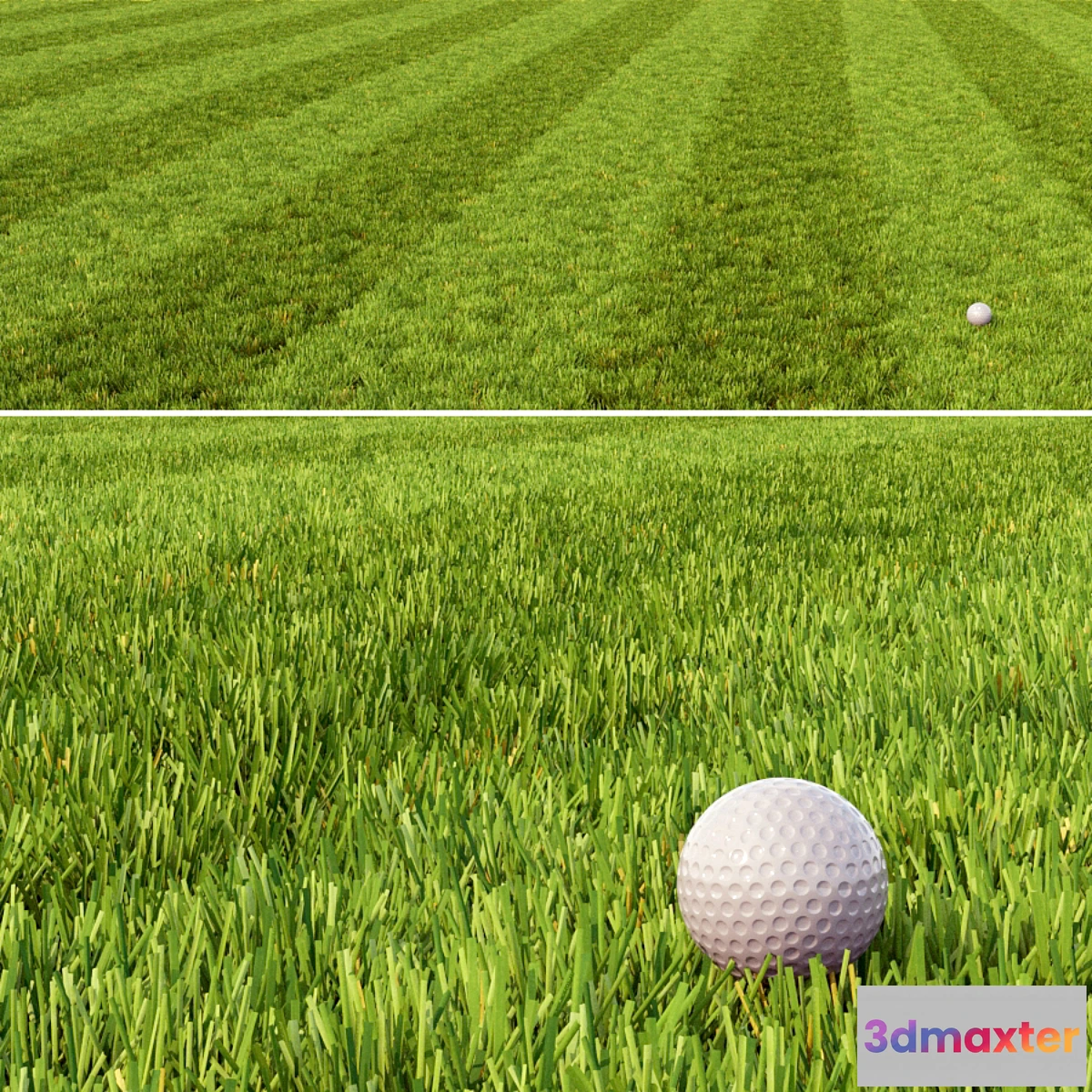 1341735 - Mowed Lawn - No.2 3D Max