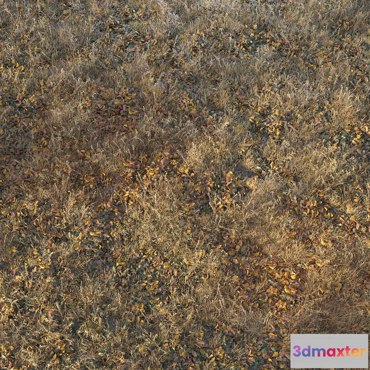 1348750 - Dry autumn grass - No.3 3D Max