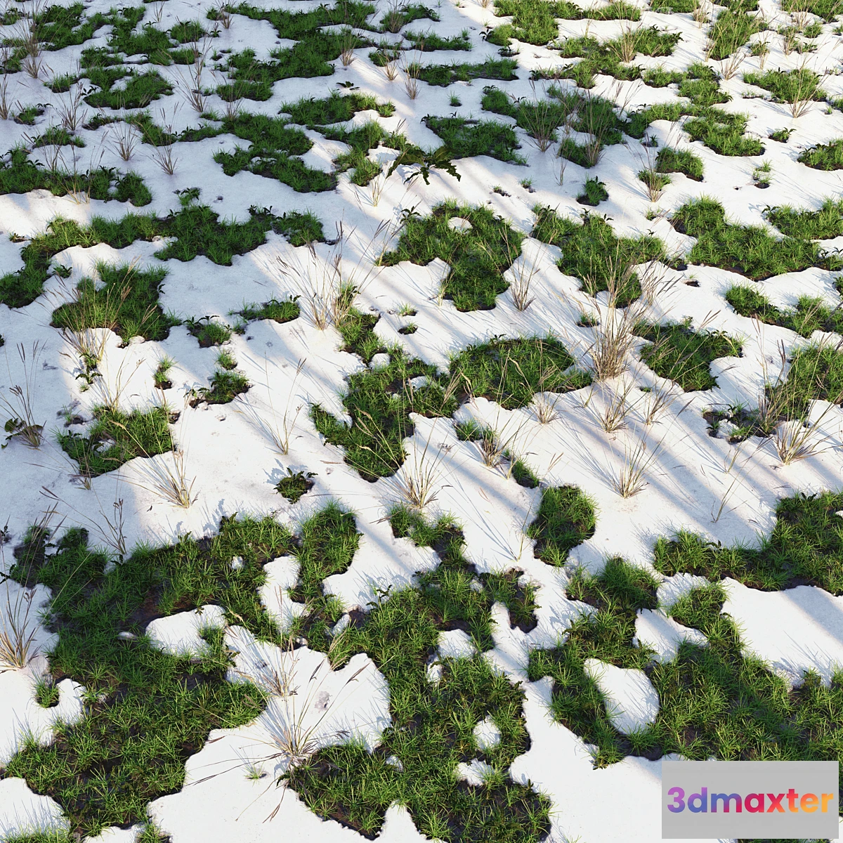 1350331 - arch_grass 04 3D Max