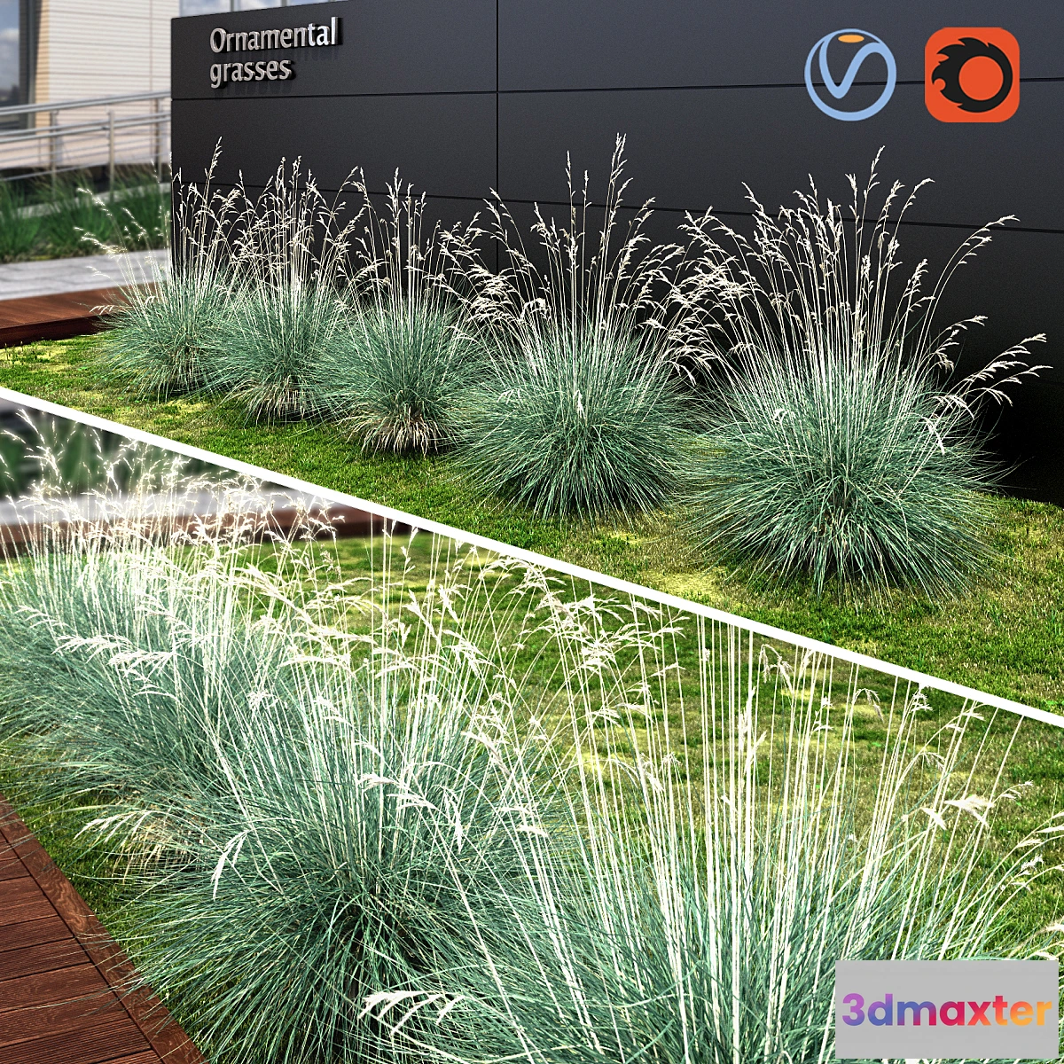 1392836 - Ornamental grass dry blue 3D Max