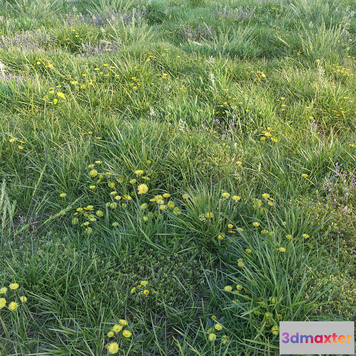 1395182 - Spring grass with dandelions 3D Max