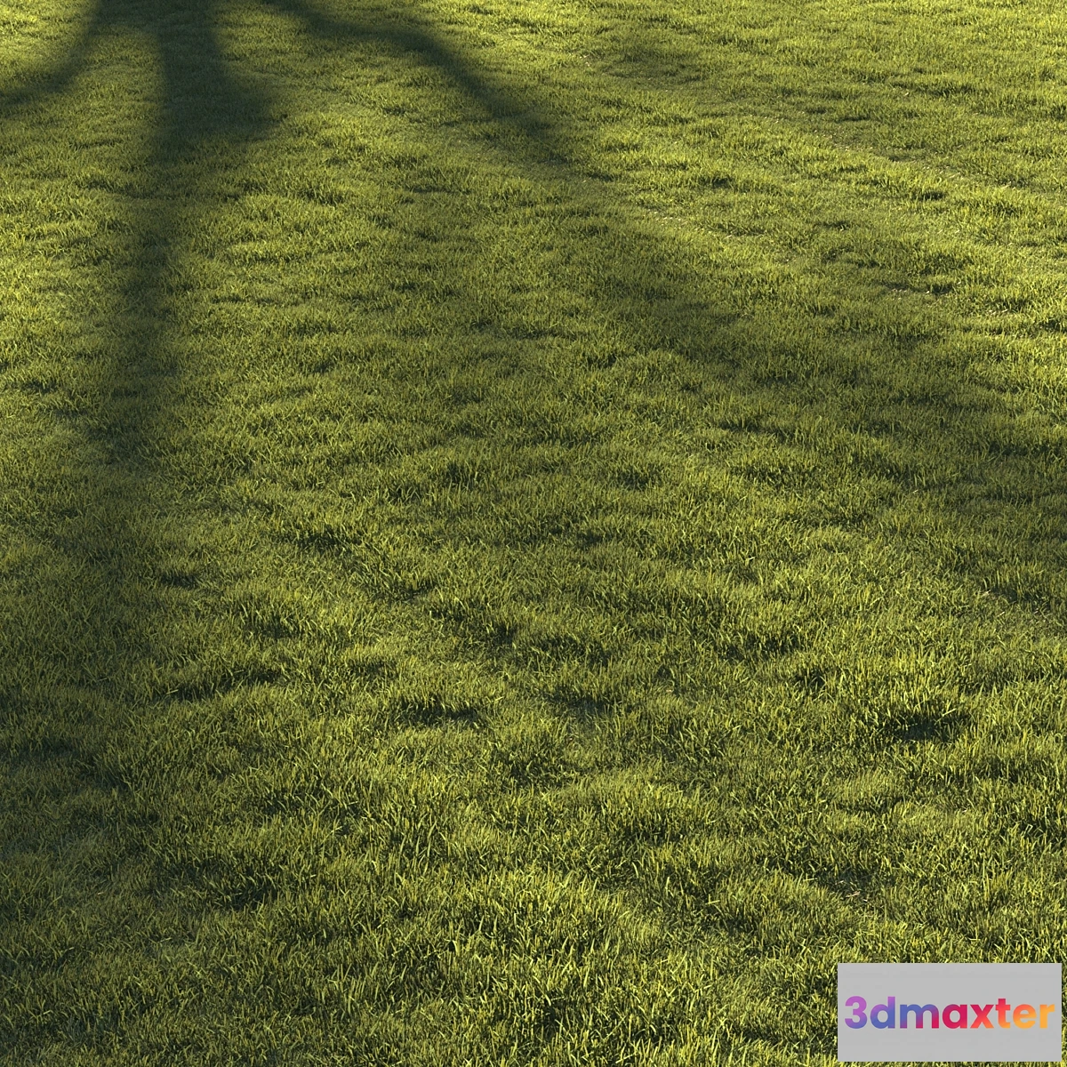 1398830 - Lawn grass №2 3D Max