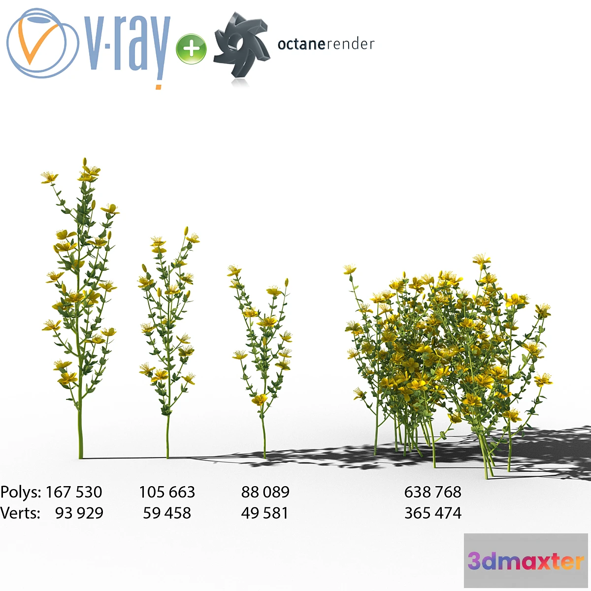 1402268 - Wildflowers Hypericum (St. John’s wort) 3D Max