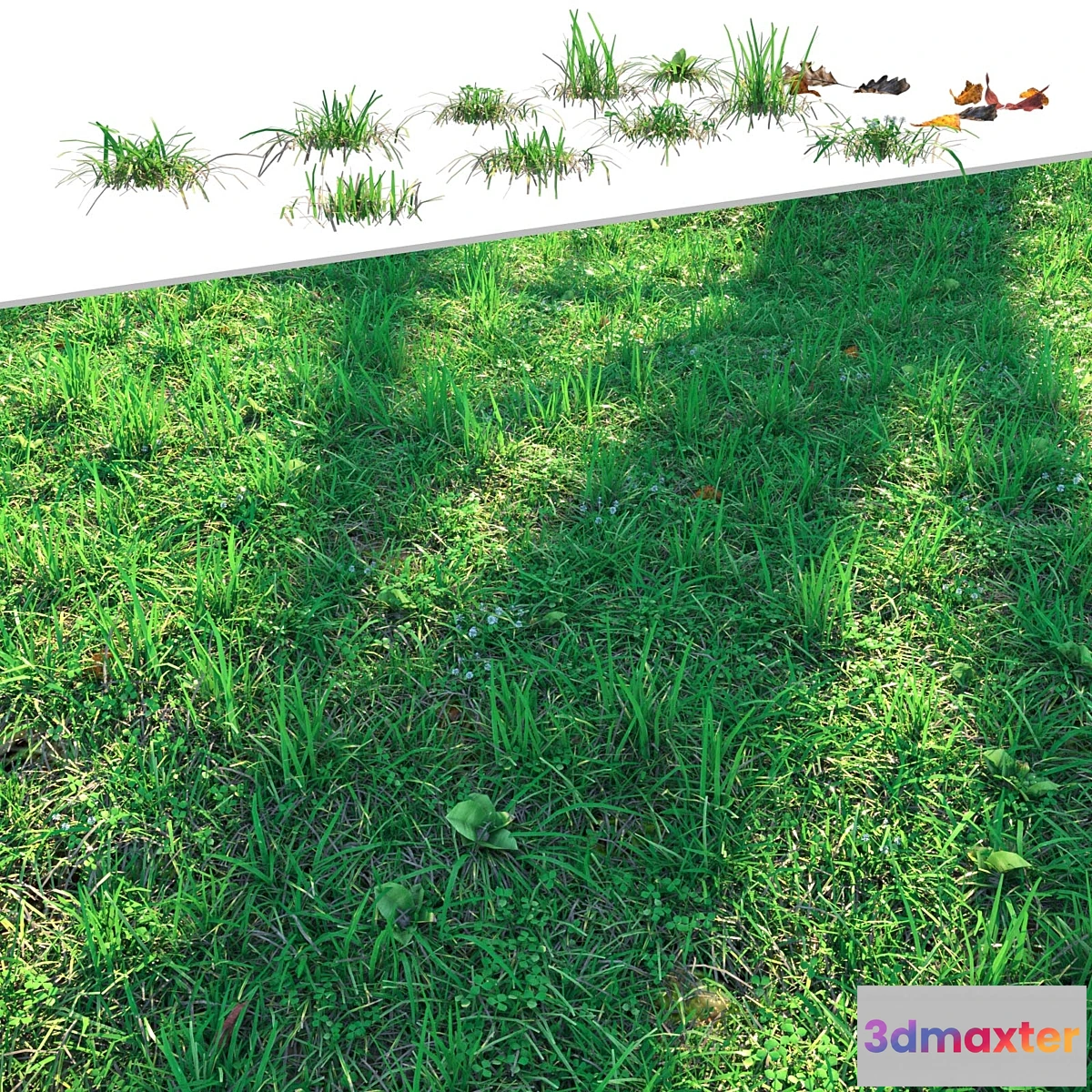 1403864 - Lawn 3D Max