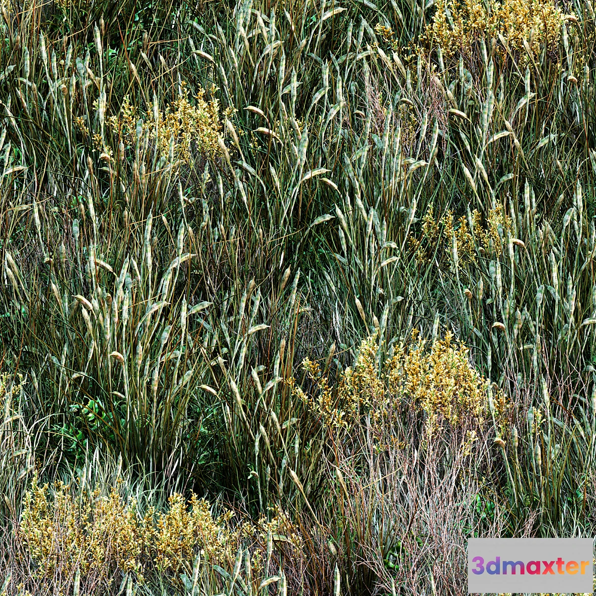 1412060 - Forest grass 001 3D Max