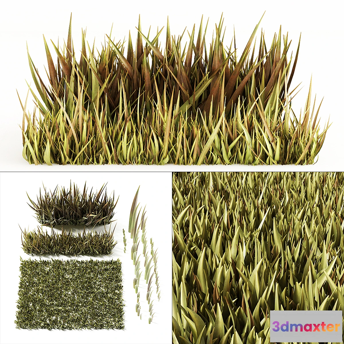 1412382 - Grass 3D Max