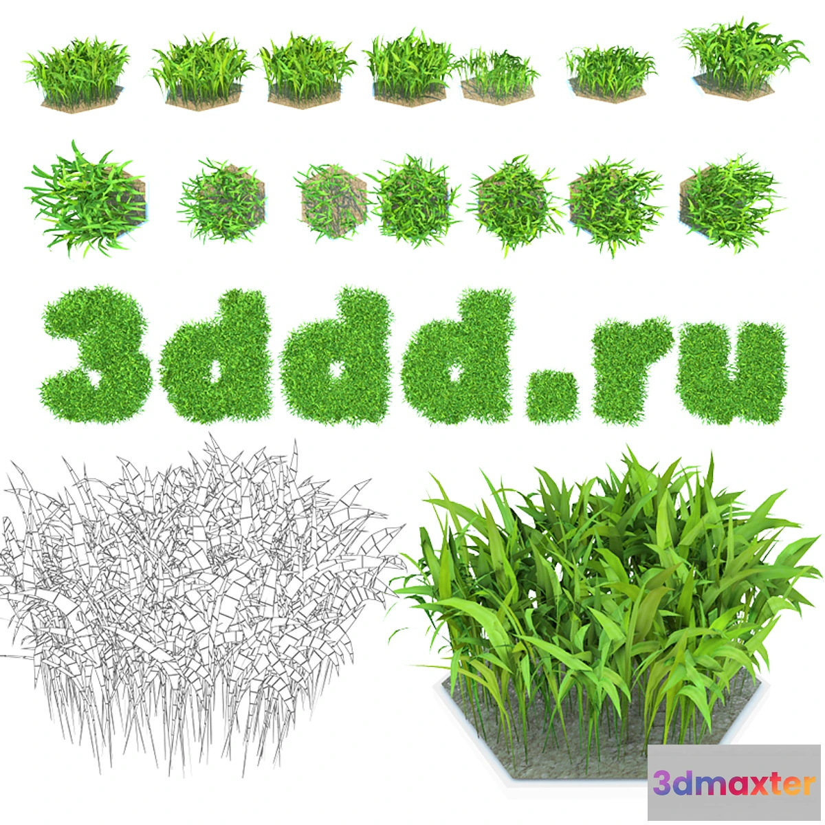 1418190 - Grass 3D Max