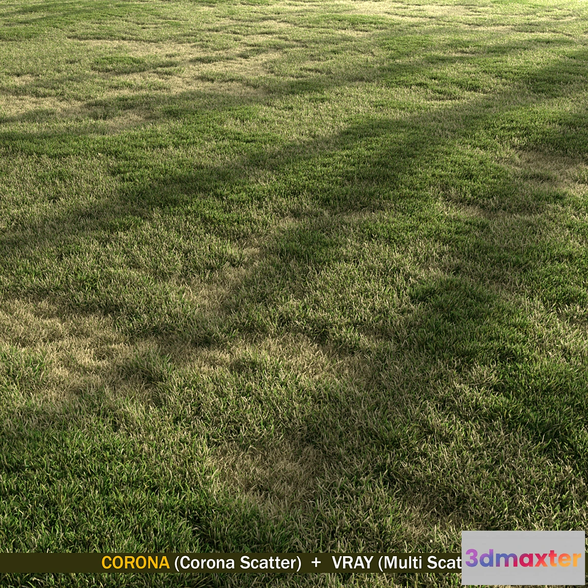 1421546 - Semi Dry Grass 3D Max