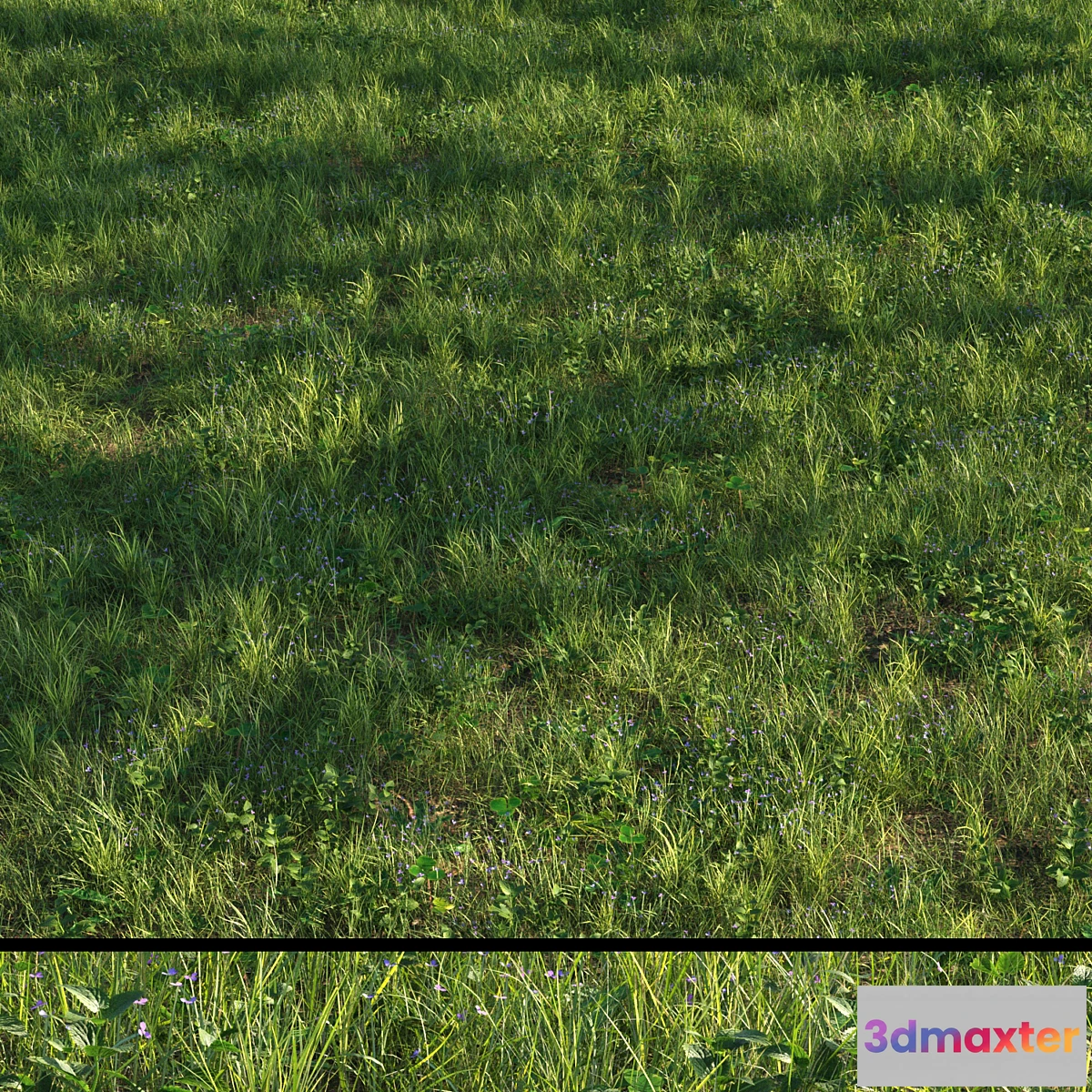 1424782 - grass13 3D Max