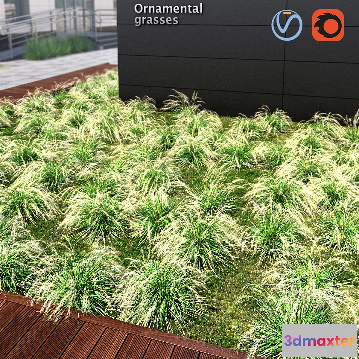 1426596 - Ornamental grass 3D Max