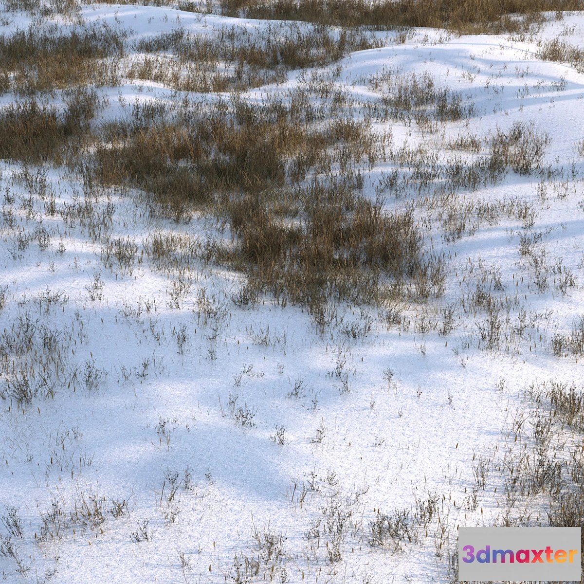 1427384 - grass under snow02 3D Max