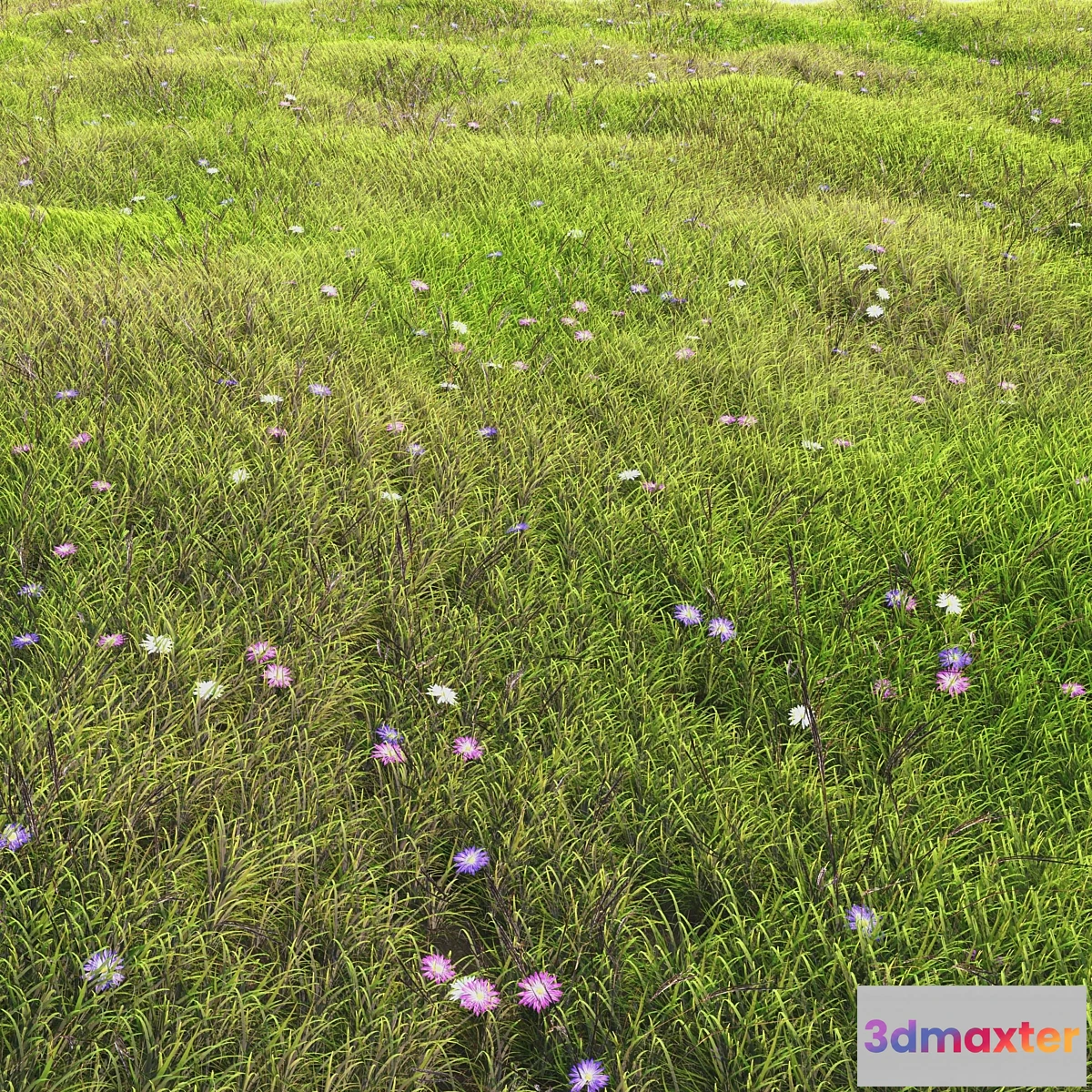 1433670 - arch_grass 05 3D Max