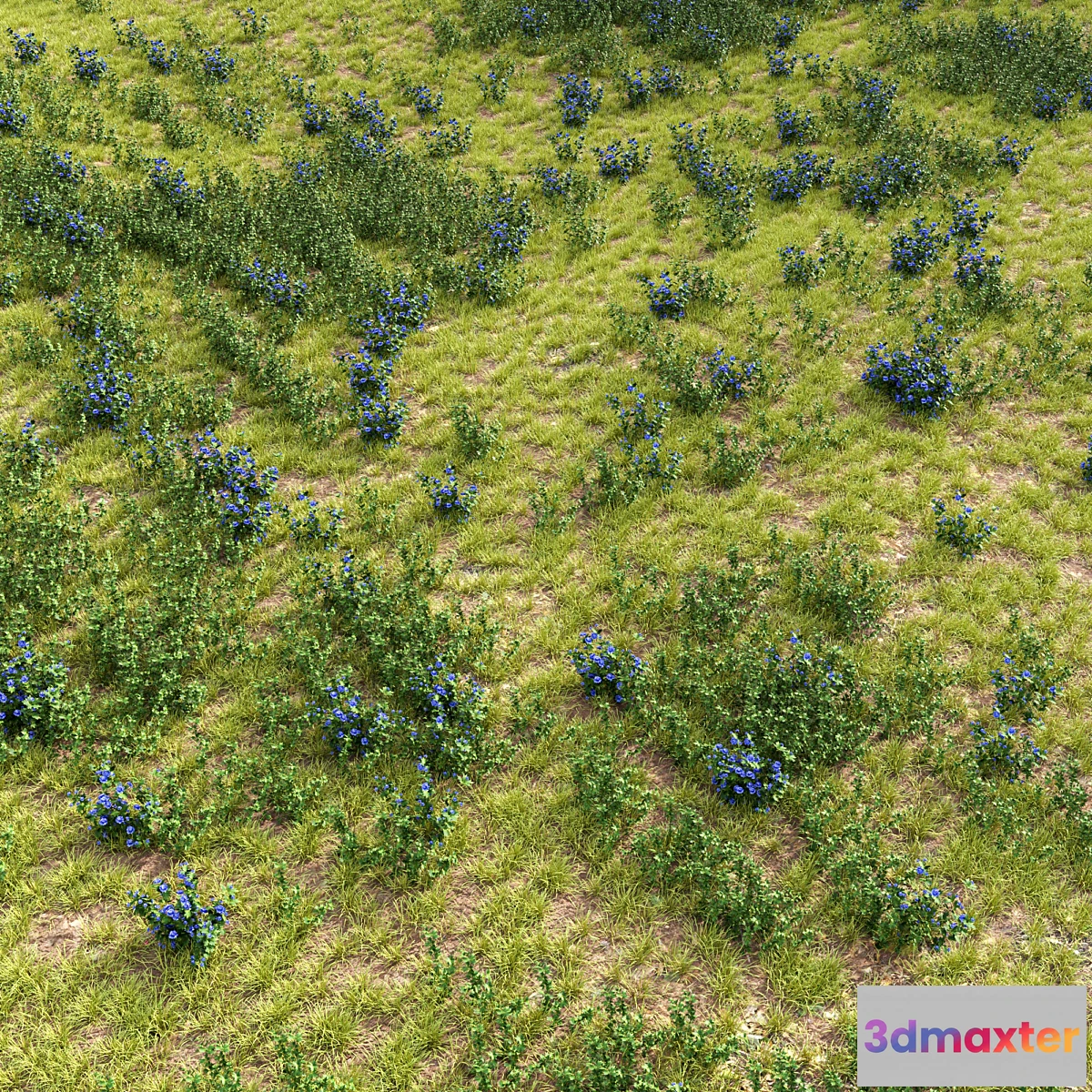 1442688 - Meadow 2 3D Max