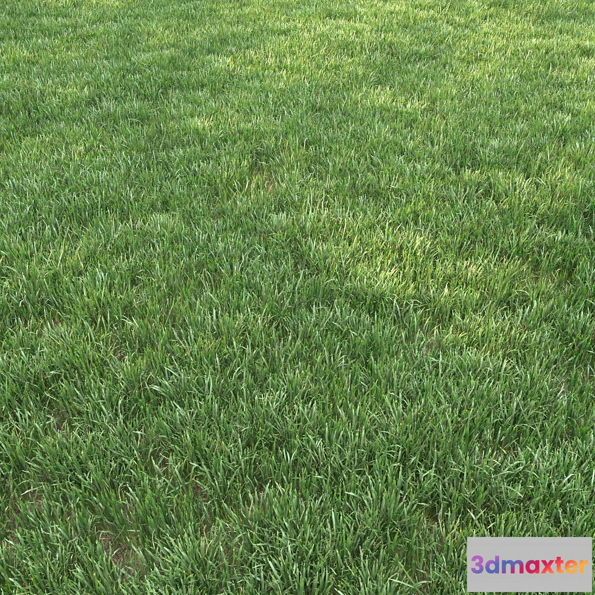 1442800 - grass for landscape 12 3D Max