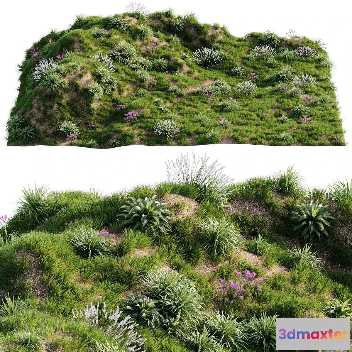 1446478 - Grass on the slope 3D Max