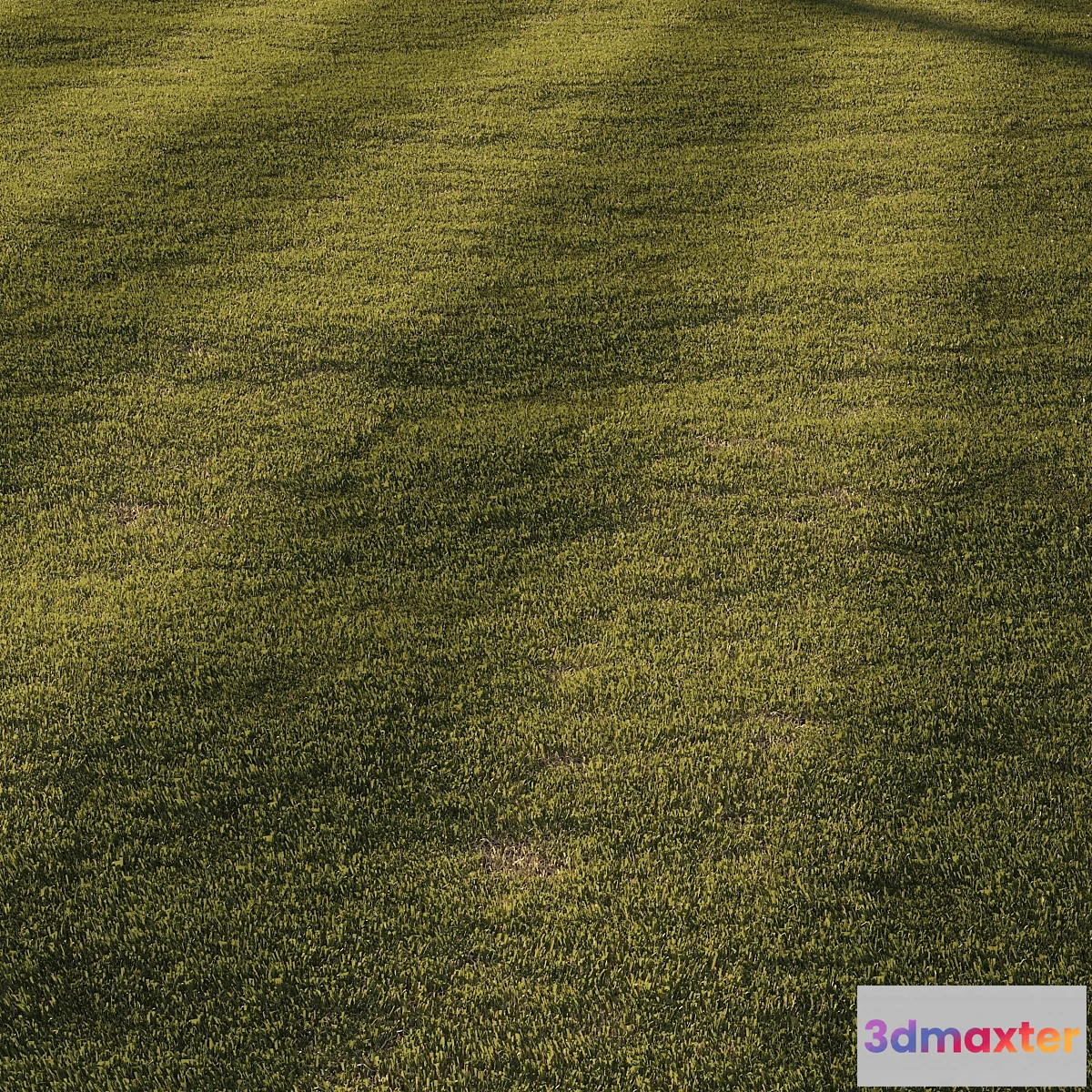 1454626 - Grass  mowed lawn 3D Max