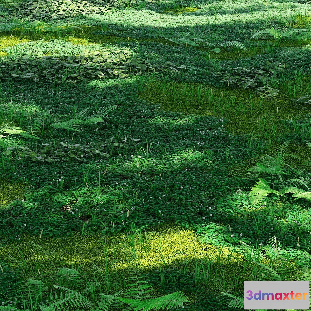 1458460 - Forest plants 3D Max