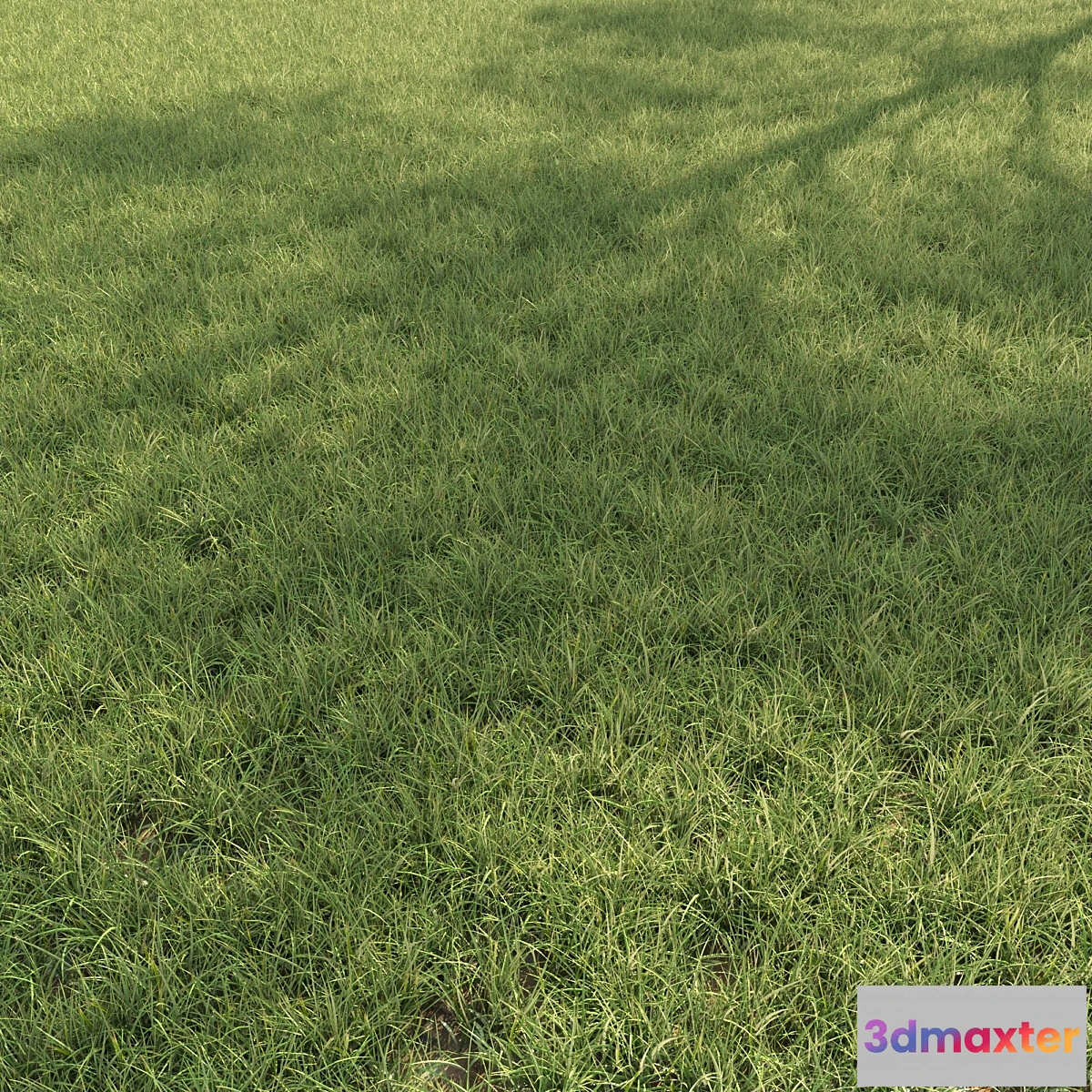 1468724 - Field grass 02 3D Max