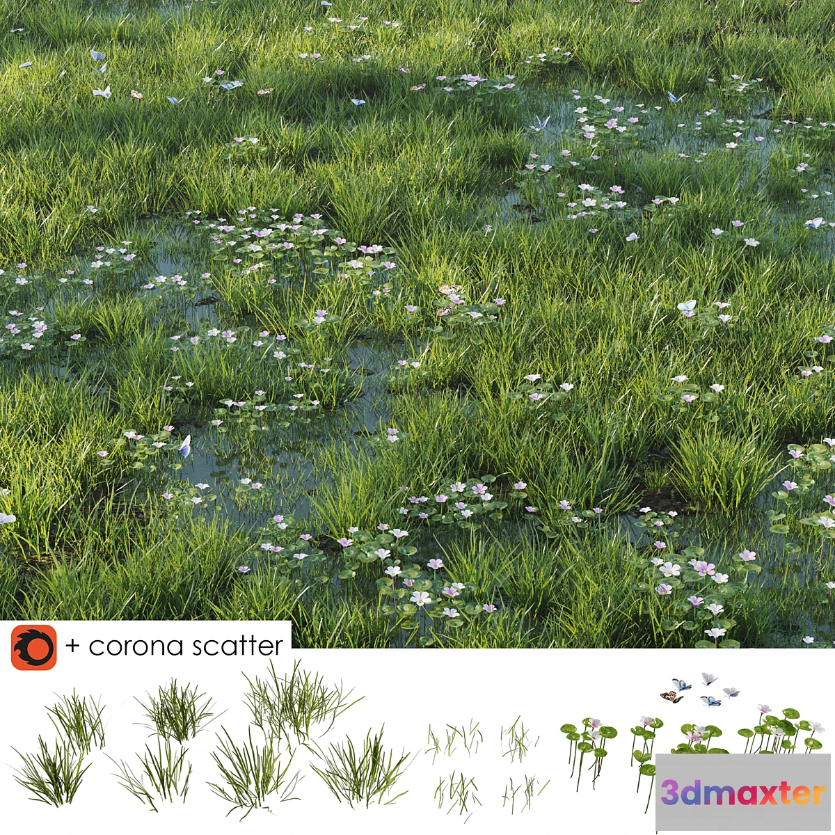 1471668 - Grass and puddle 3D Max