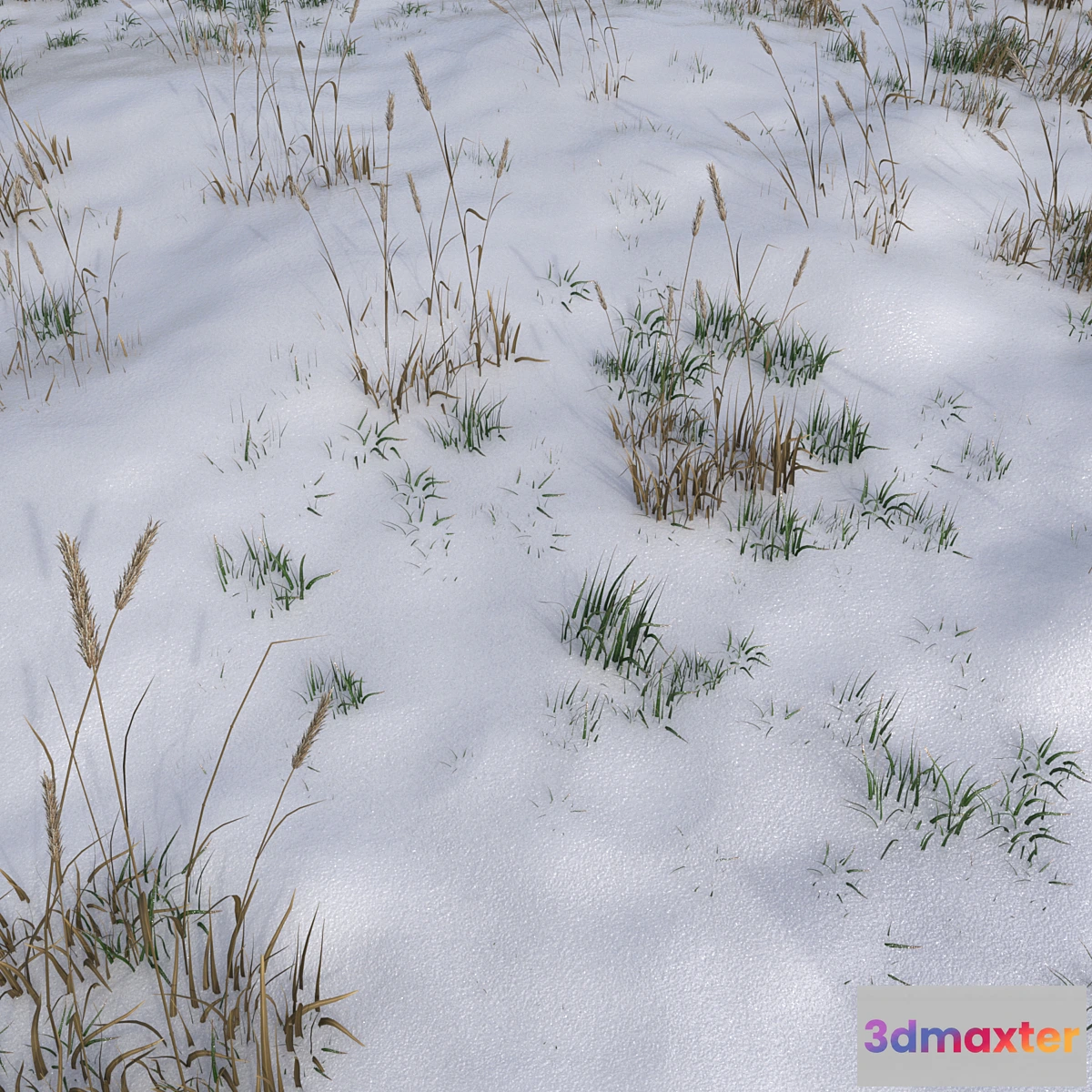 1474452 - The grass under the snow 3D Max