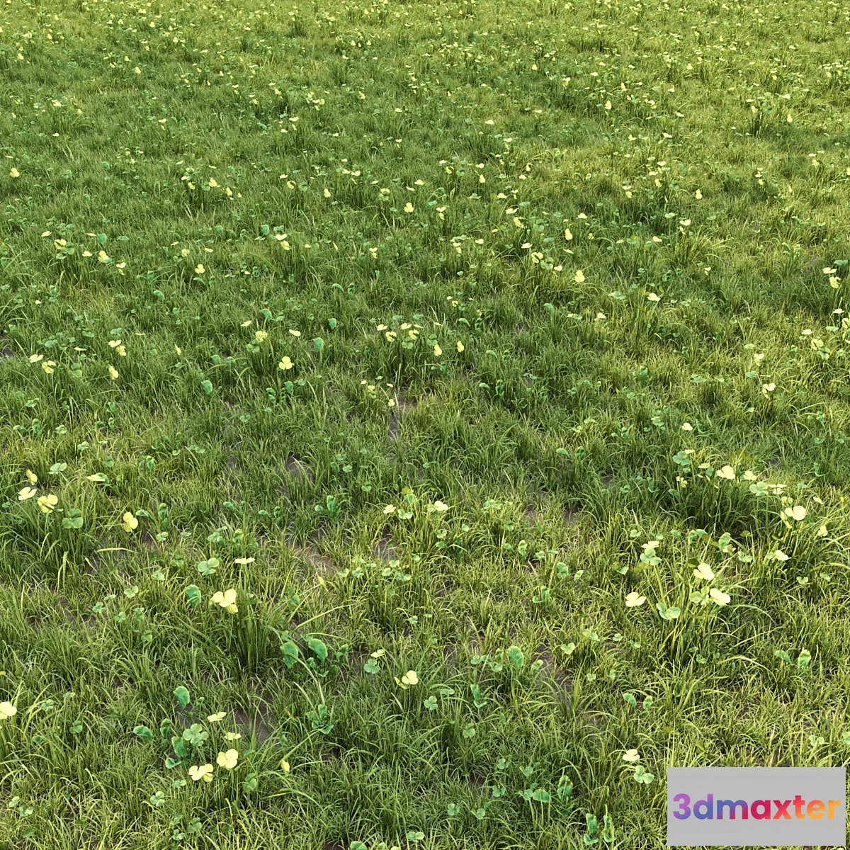 1475082 - grass for lanscape 06 3D Max