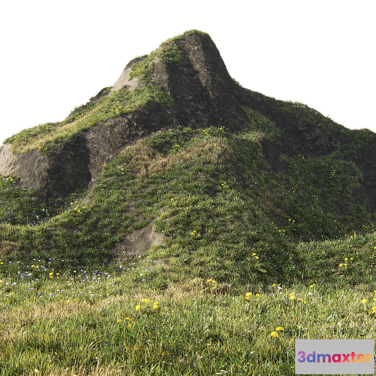 1477650 - Grass for mountainous terrain 3D Max