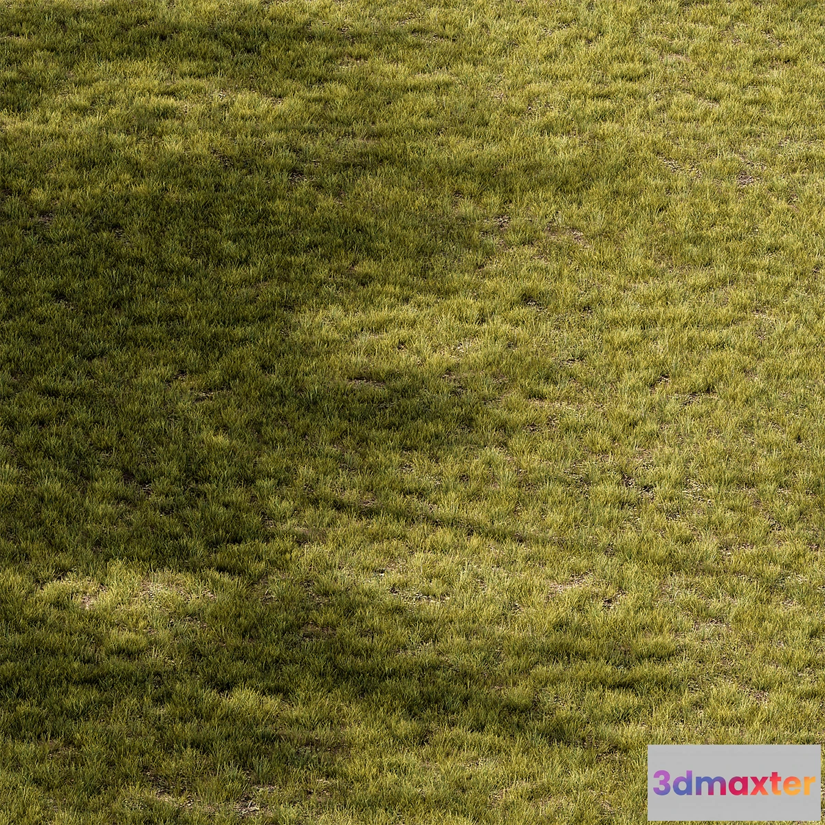 1478110 - Short Grass Set 29 3D Max