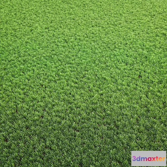 1539619 - Arch_grass 02 3D Max