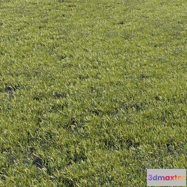 1540161 - Grass kit 1 3D Max