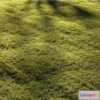 1545874 - Grass and Flower 3D Max
