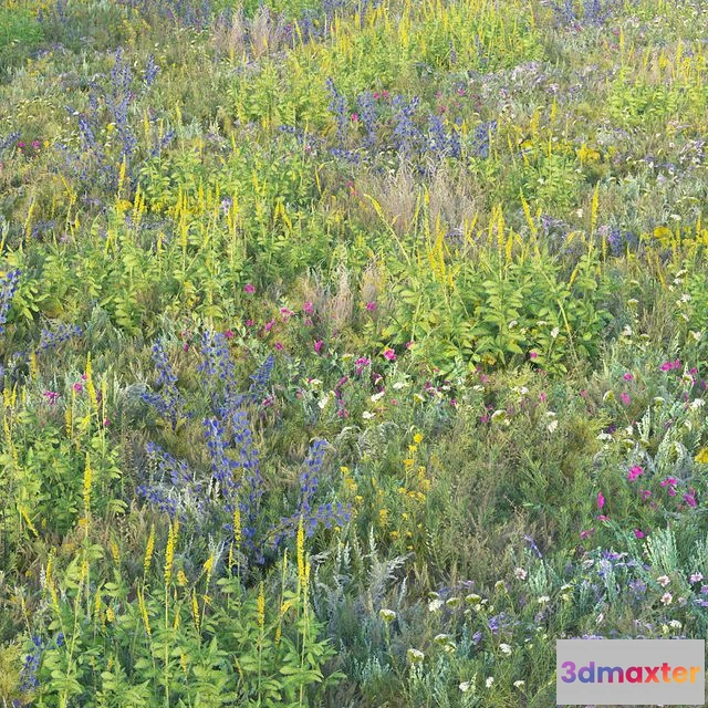 1547055 - Blooming meadow grass 2 3D Max