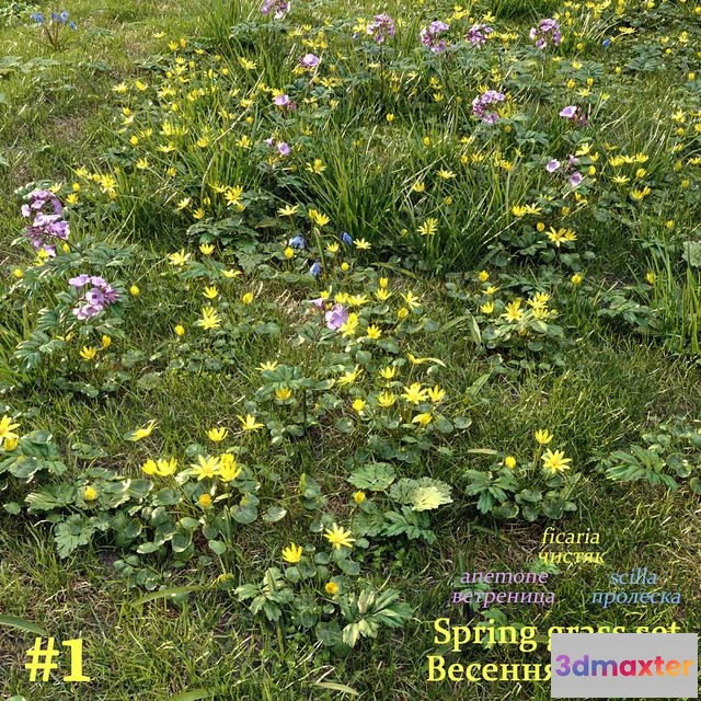 1554617 - Spring grass set #1 3D Max