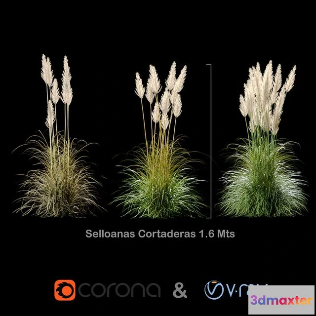1555735 - Selloanas Cortaderas Small 3D Max