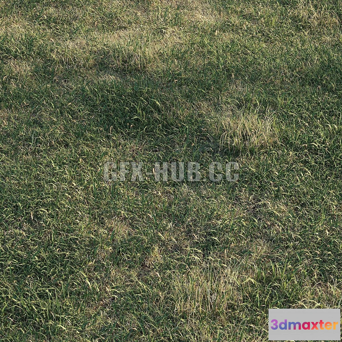 1557813 - Spring meadow  grass 3D Max