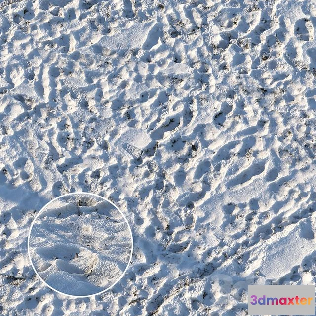 1559453 - Grass Under the Snow 3D Max