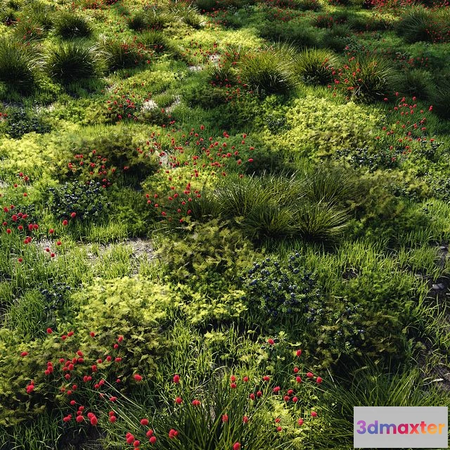 1569498 - Grass set 1 3D Max