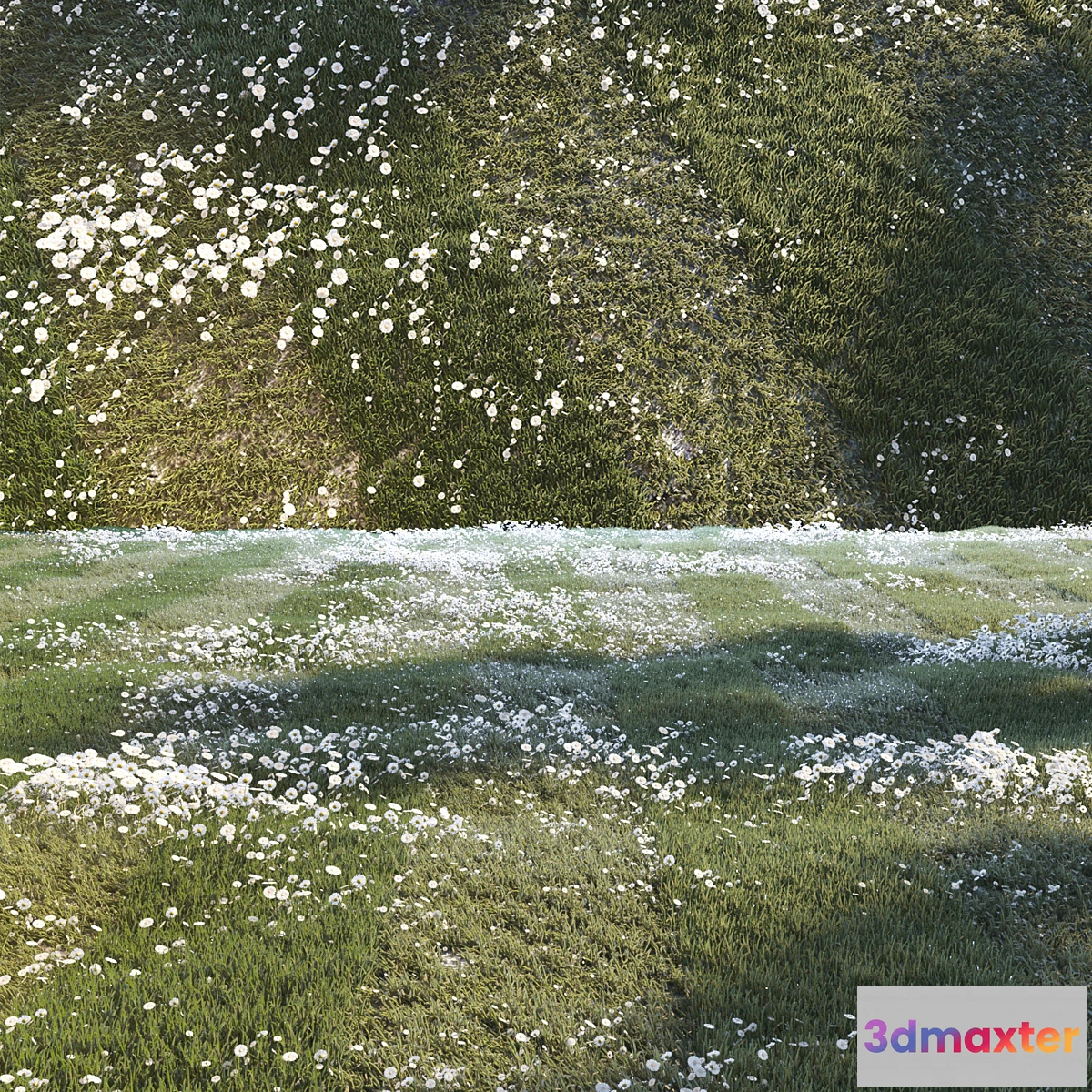 619347 - Grass set 01 - No.2