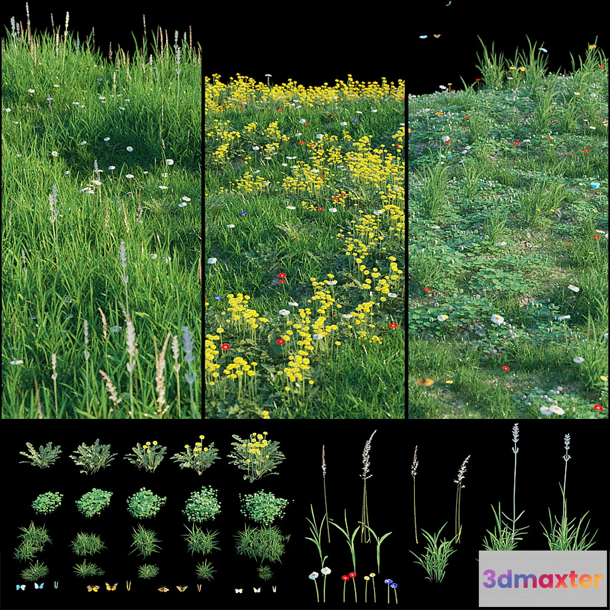 666845 - Set for landscaping 3