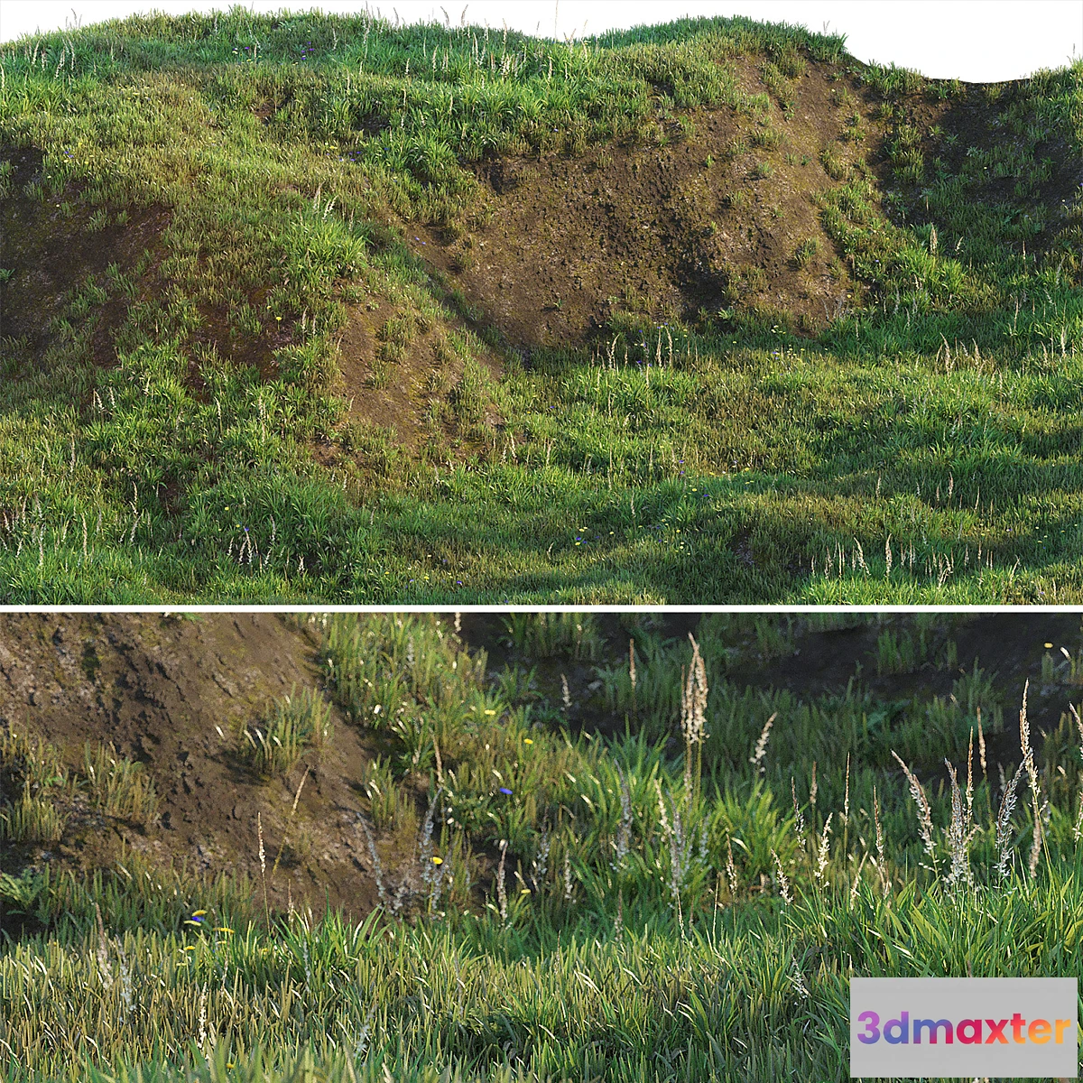 675981 - Grass on the slope