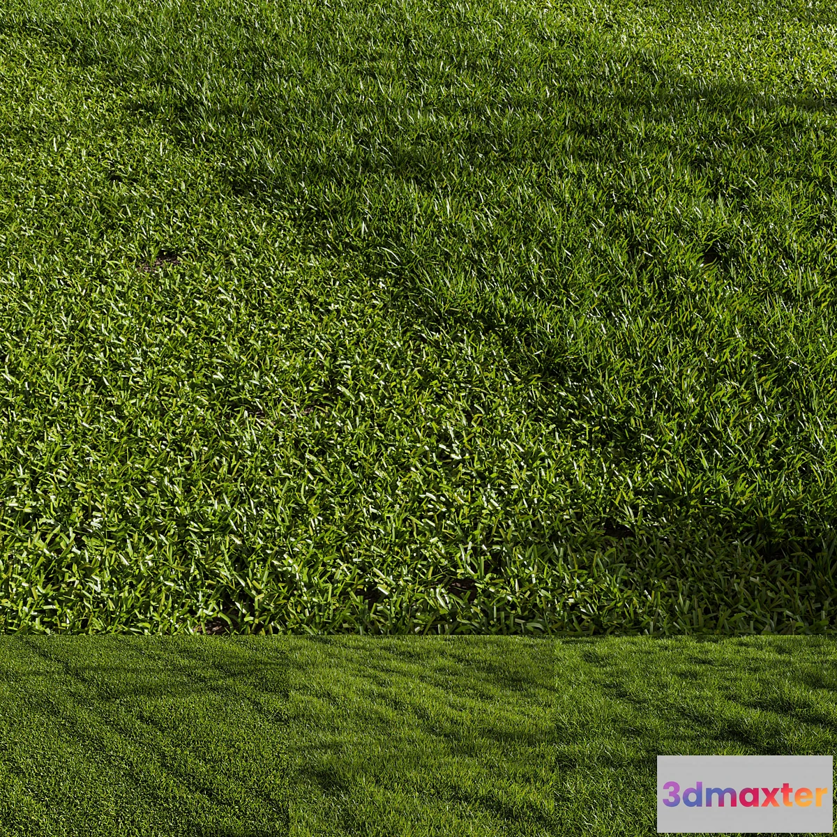 675983 - Grass Pack 01