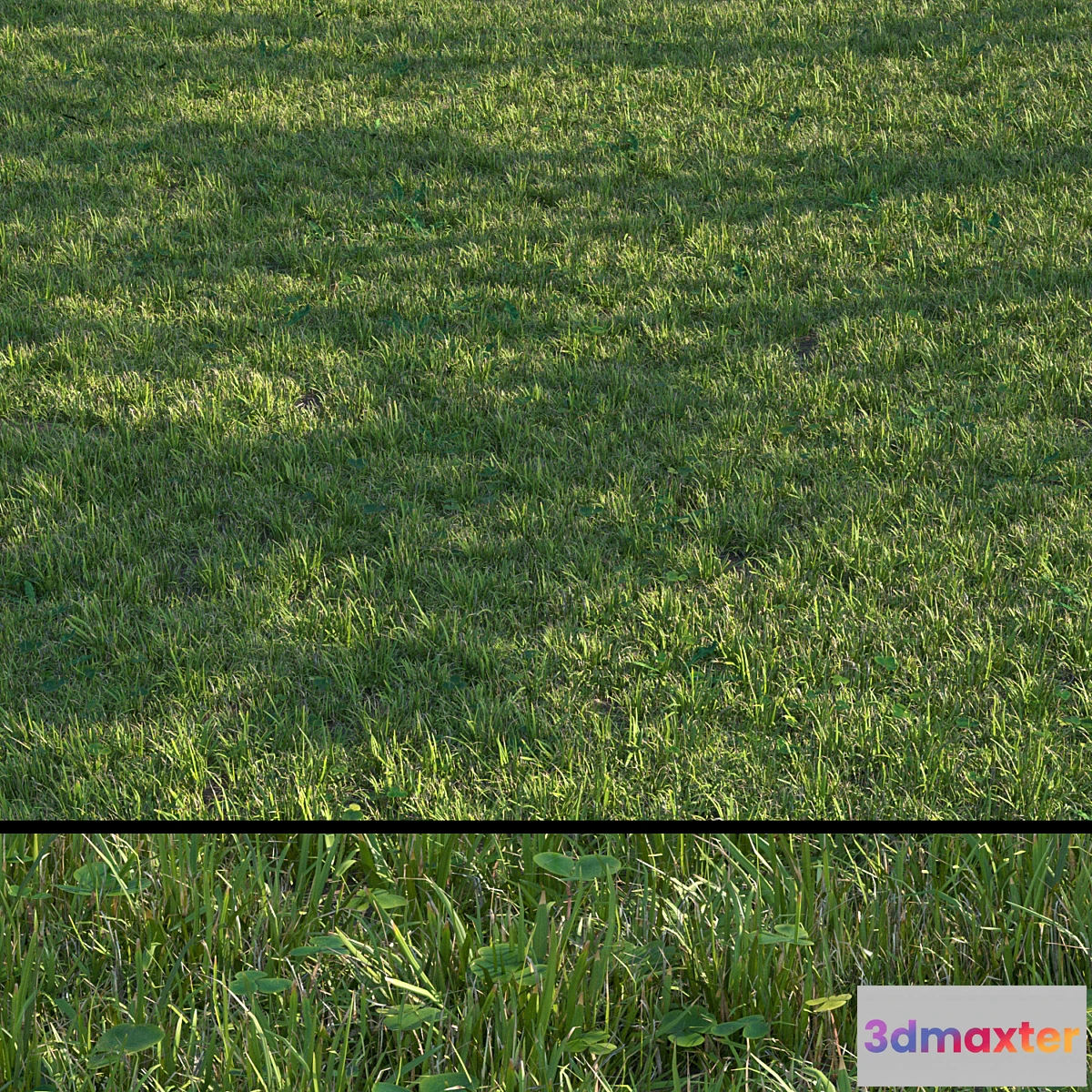 675987 - grass set04