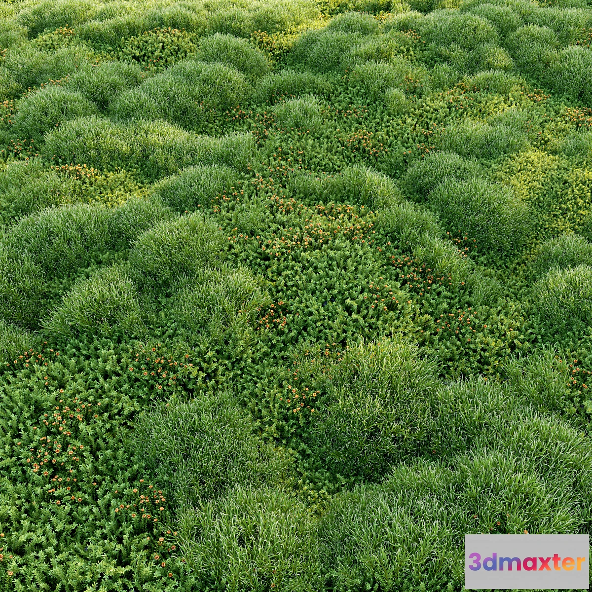 689002 - Blooming moss 2