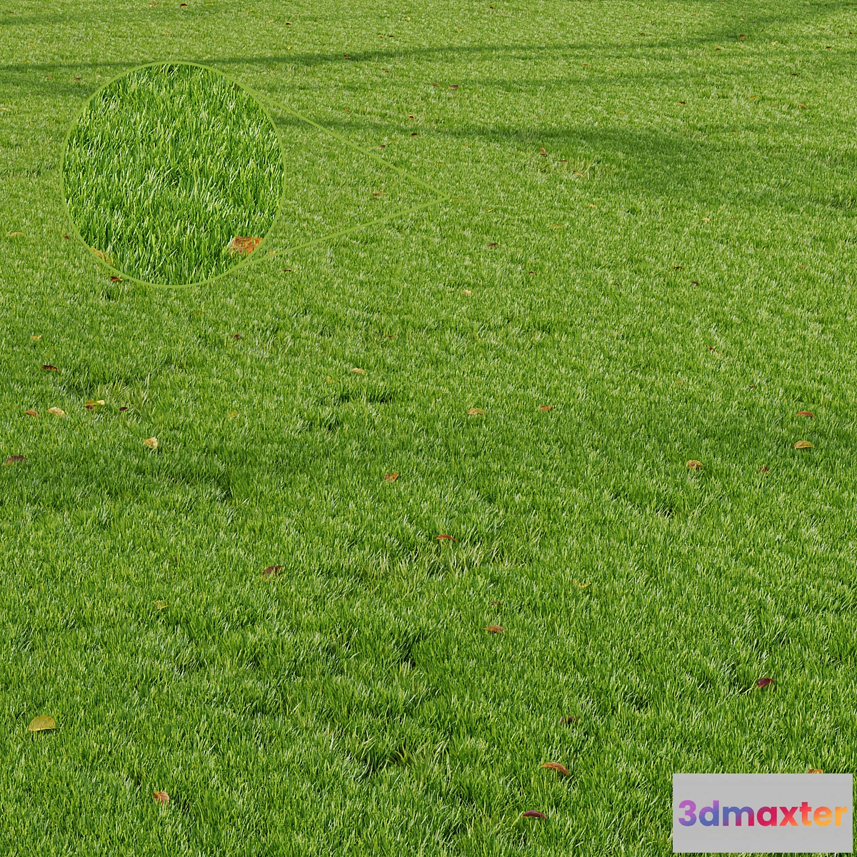 689008 - HQ Grass Park Summer