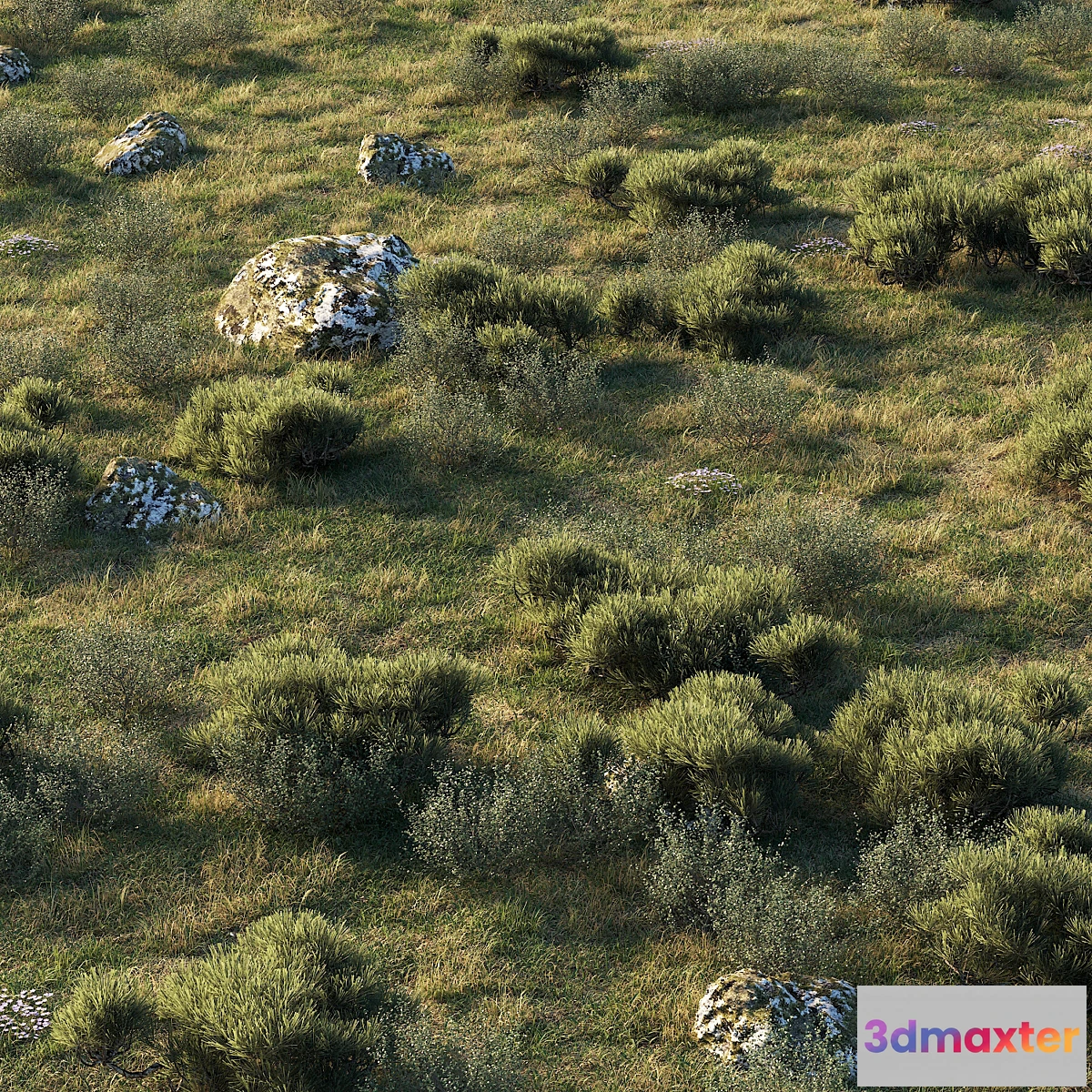 689020 - forest landscape