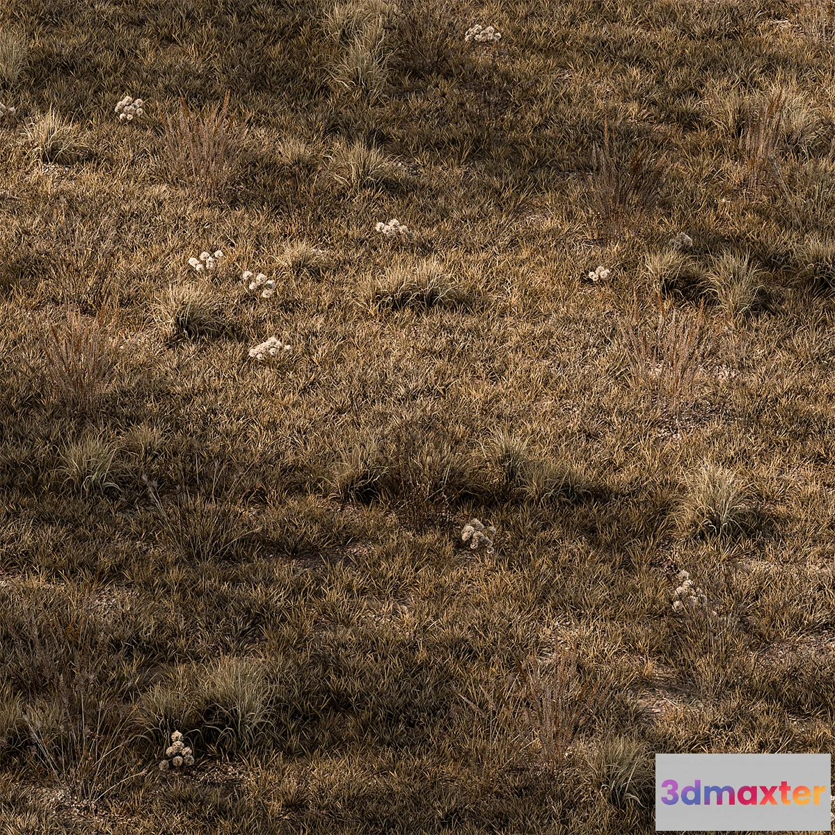 689038 - Dry Grass Set 16