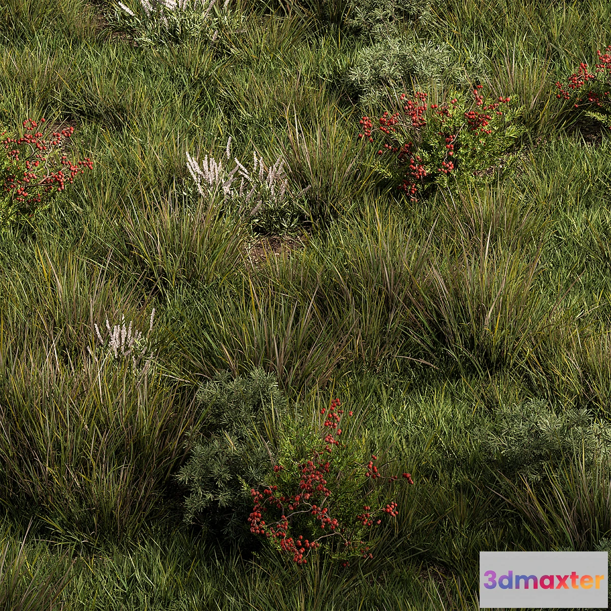 689040 - Nature Meadow - Grass Set 17