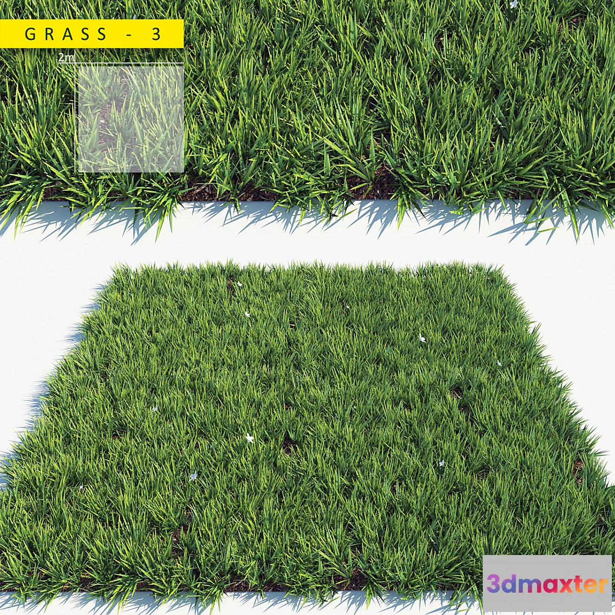 715056 - Grass 3 - No.2
