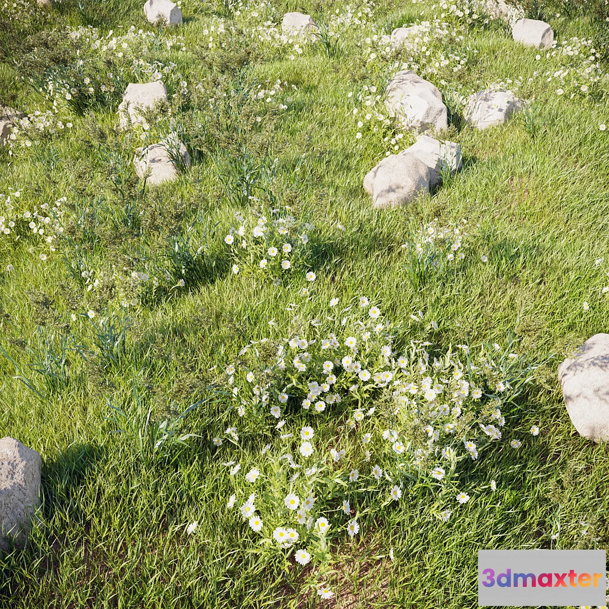 739427 - grass_for_landscaping_set02 - No.2